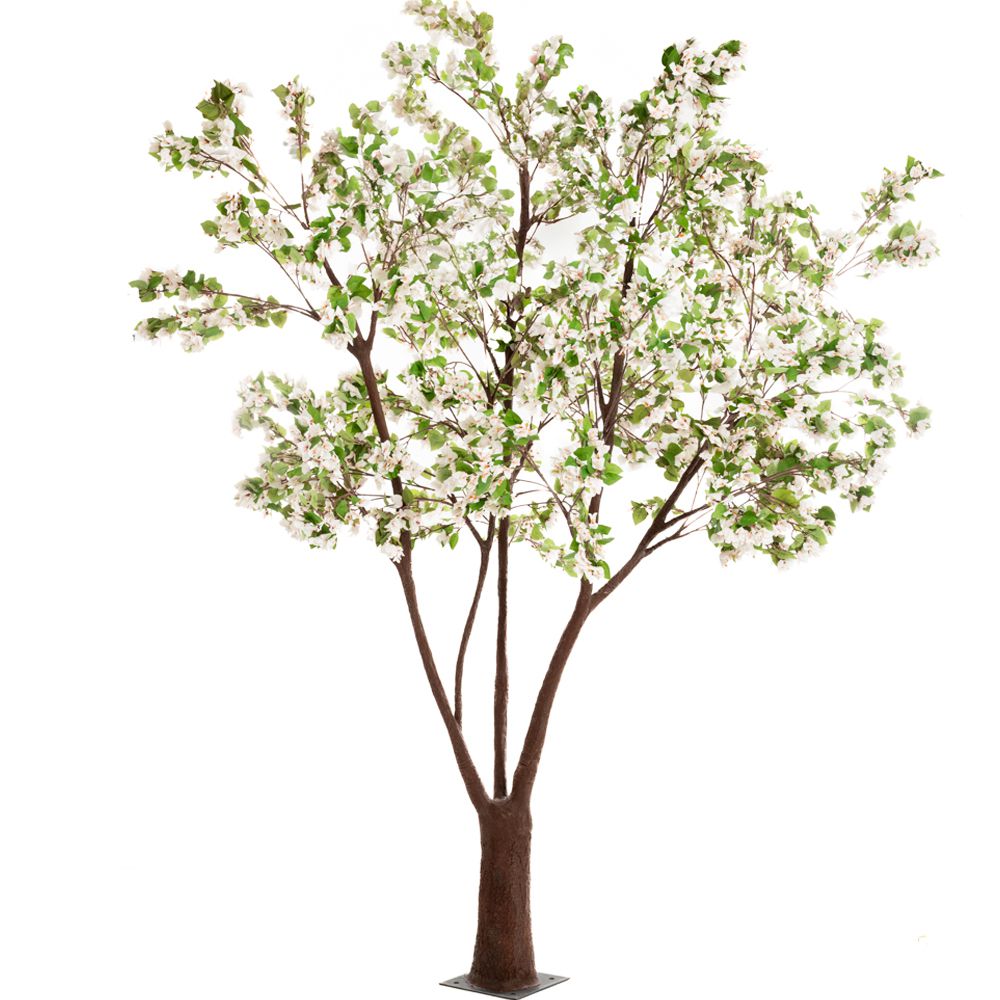 89801 ΔΕΝΤΡΟ ΛΕΥΚΟ ΒΟΥΚΑΜΒΙΛΙΑ 320ΕΚ