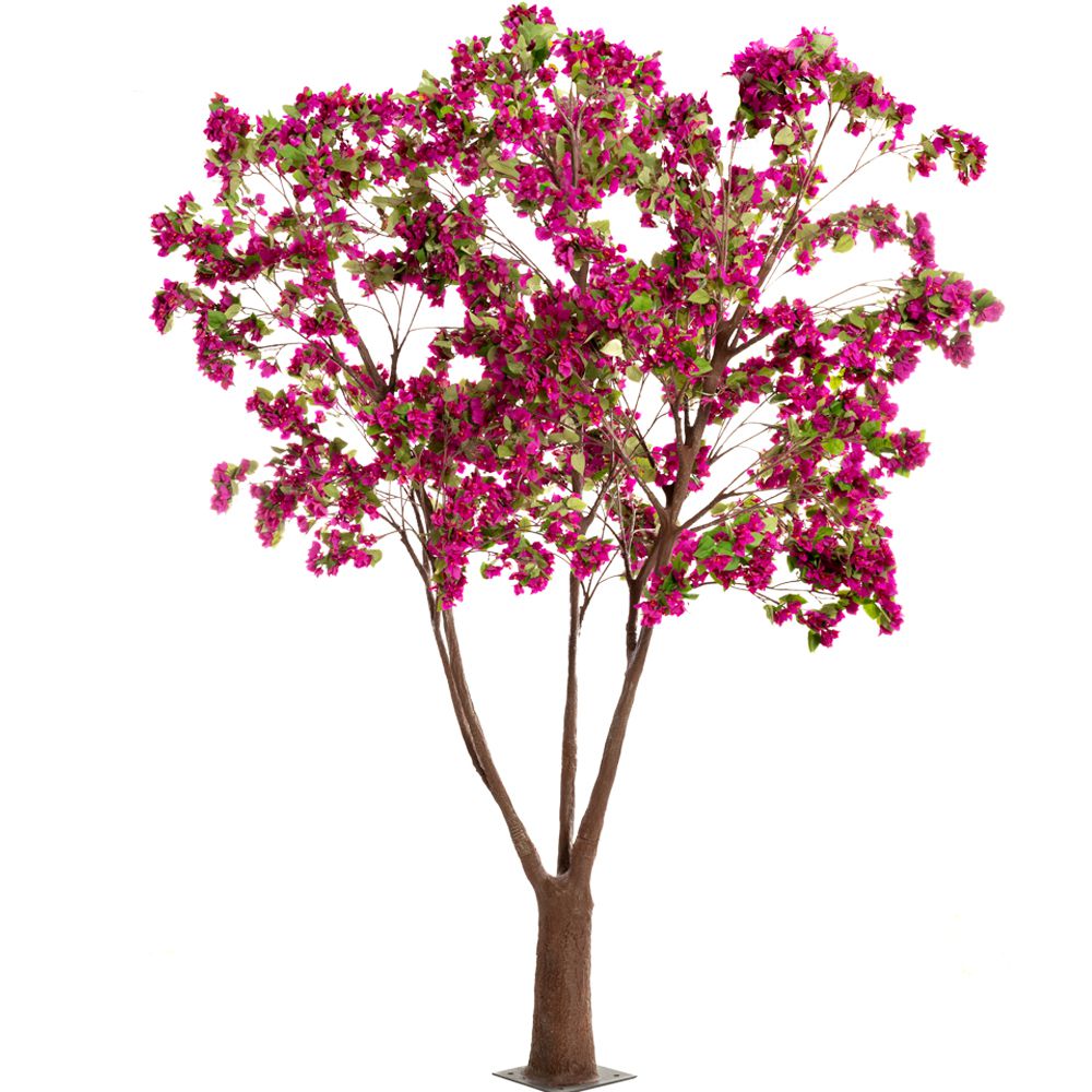 89802 ΔΕΝΤΡΟ ΦΟΥΞΙΑ ΒΟΥΚΑΜΒΙΛΙΑ 320ΕΚ