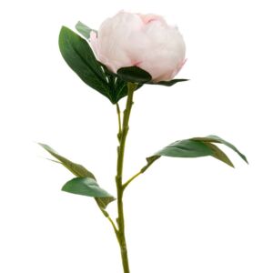 ΡΟΖ ΠΑΙΩΝΙΑ ΚΛΑΔΙ 66ΕΚ