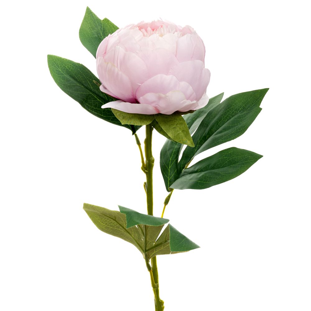 89812 ΛΙΛΑ ΠΑΙΩΝΙΑ ΚΛΑΔΙ 66ΕΚ