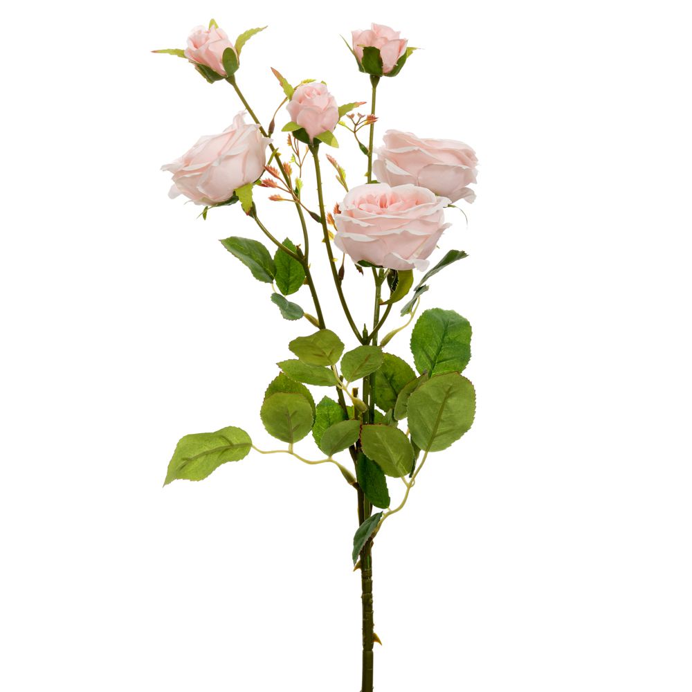 89815 ΡΟΖ ΚΛΑΔΙ ΤΡΙΑΝΤΑΦΥΛΛΟ Χ6 66ΕΚ