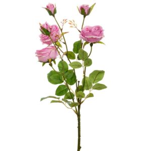 ΛΙΛΑ ΚΛΑΔΙ ΤΡΙΑΝΤΑΦΥΛΛΟ Χ6 66ΕΚ