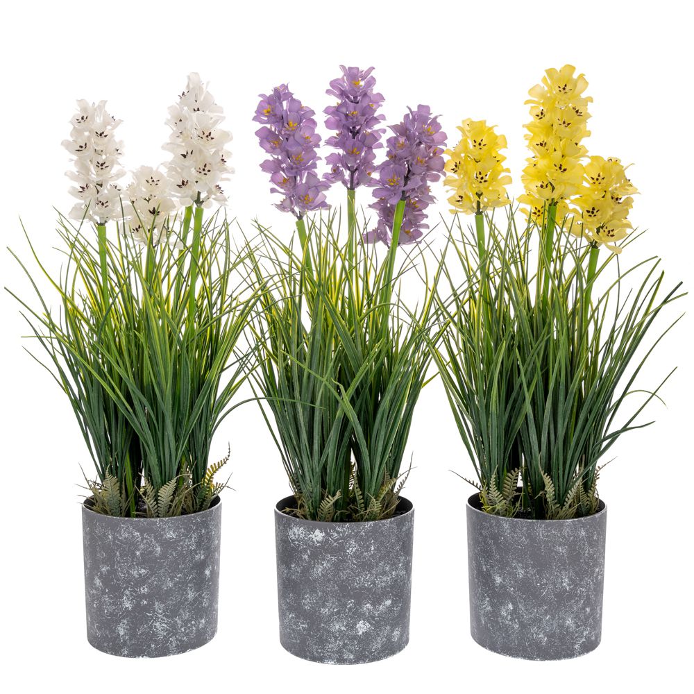 89891 ΓΛΑΣΤΡΑΚΙ 13Χ52ΕΚ ΥΑΚΙΝΘΟΣ 3 ΧΡΩΜΑΤΑ ΣΕ ΓΚΡΙ ΠΛΑΣΤΙΚΟ ΚΑΣΠΩ