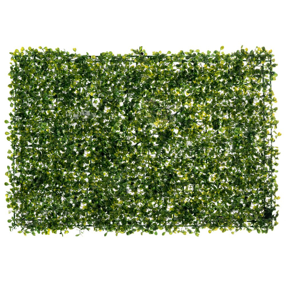 89903 ΓΚΑΖΟΝ 40Χ60ΕΚ ΤΡΙΦΥΛΛΙ