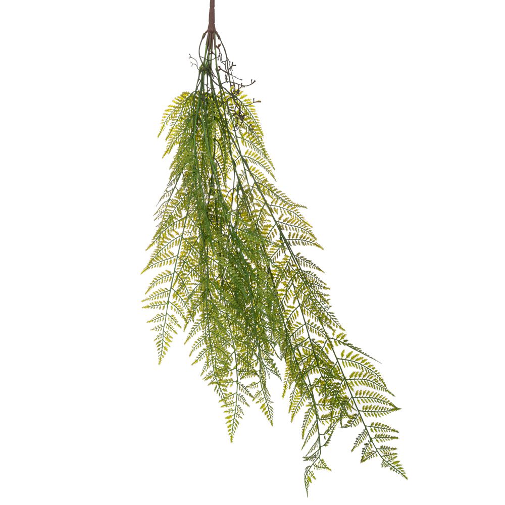 89907 ΦΤΕΡΗ ΚΡΕΜΑΣΤΗ 95ΕΚ ΠΡΑΣΙΝΗ ΡΙΖΑ