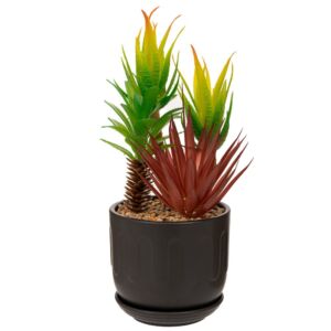 ΠΡΑΣΙΝΑΔΑ ΚΑΚΤΑΚΙΑ ΣΕ ΜΑΥΡΟ ΚΑΣΠΩ ΚΕΡΑΜΙΚΟ 10Χ26ΕΚ