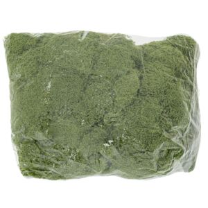 ΒΡΥΑ ΣΚΟΥΡΗ ΠΡΑΣΙΝΗ ΣΕ ΣΑΚΟΥΛΑΚΙ 500ΓΡ