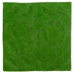 ΤΑΠΗΤΑΣ ΑΓΡΙΟ ΓΡΑΣΙΔΙ 100Χ100ΕΚ ΤΕΤΡΑΓΩΝΟΣ