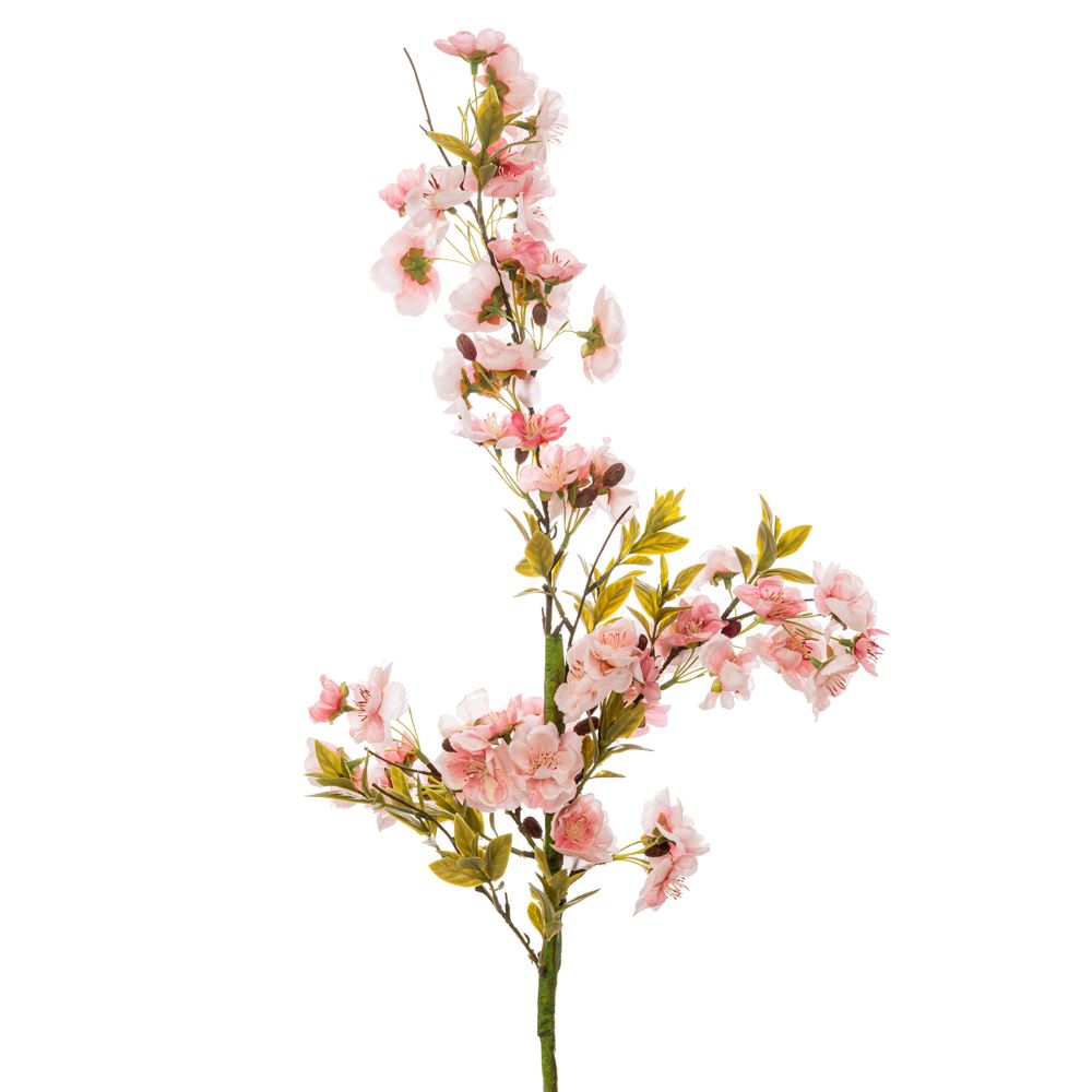 90003 ΡΟΖ ΚΛΑΔΙ ΑΜΥΓΔΑΛΙΑ 85ΕΚ