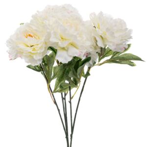 ΛΕΥΚΟ ΜΠΟΥΚΕΤΟ ΧΡΥΣΑΝΘΕΜΟ 55ΕΚ Χ5