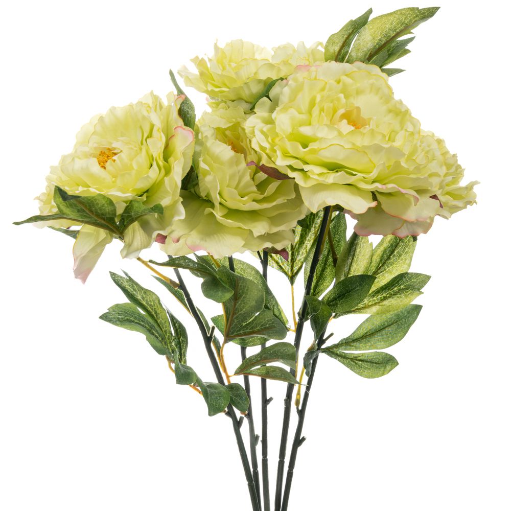 90186 ΛΑΧΑΝΙ ΜΠΟΥΚΕΤΟ ΧΡΥΣΑΝΘΕΜΟ 55ΕΚ Χ5