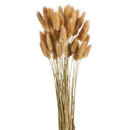 90231712731653-otherimage-550x550