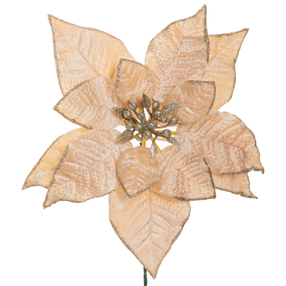 90361 ΣΑΜΠΑΝΙ ΑΛΕΞΑΝΔΡΙΝΟ ΠΙΚ Φ22Χ24ΕΚ