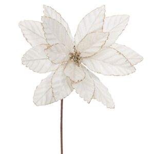 ΙΒΟΥΑΡ ΒΕΛΟΥΔΙΝΟ ΑΛΕΞΑΝΔΡΙΝΟ 60ΕΚ