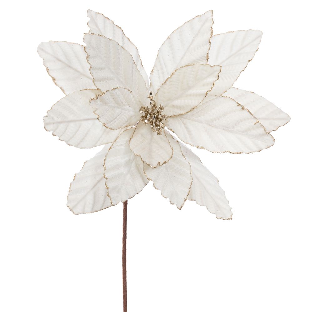 90402 ΙΒΟΥΑΡ ΒΕΛΟΥΔΙΝΟ ΑΛΕΞΑΝΔΡΙΝΟ 60ΕΚ