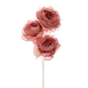 ΣΚΟΥΡΟ ΡΟΖ ΜΠΟΥΚΕΤΟ DAVID AUSTIN ΤΡΙΑΝΤΑΦΥΛΛΟ Χ3 65ΕΚ.