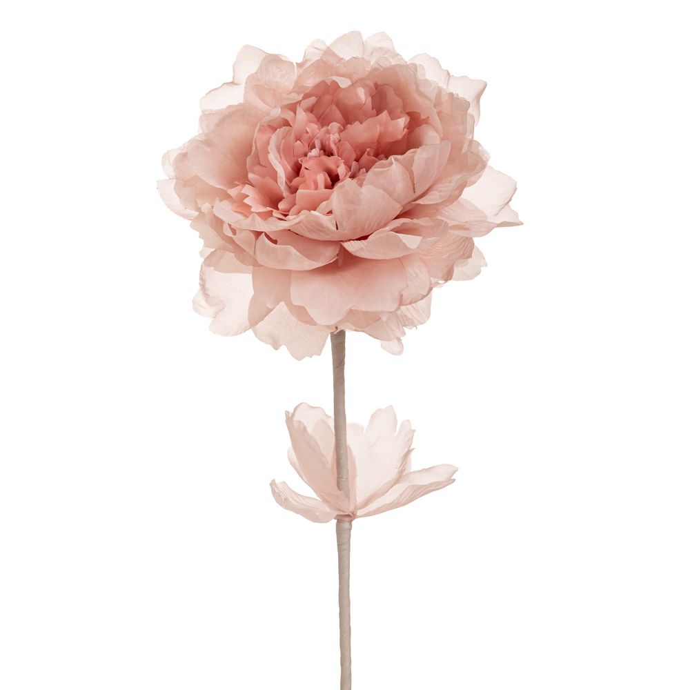 90465 ΣΑΠΙΟ ΜΗΛΟ ΚΛΑΔΙ ΠΑΙΩΝΙΑ 63ΕΚ