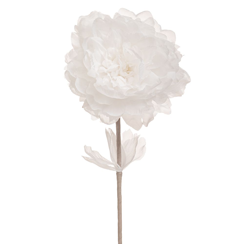 90466 ΛΕΥΚΟ ΚΛΑΔΙ ΠΑΙΩΝΙΑ 63ΕΚ