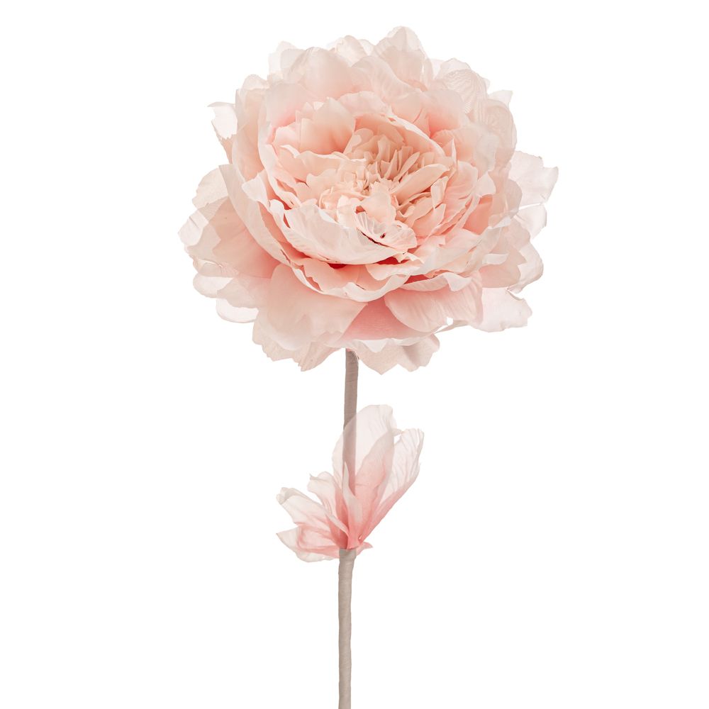 90467 ΑΝΟΙΧΤΟ ΡΟΖ ΚΛΑΔΙ ΠΑΙΩΝΙΑ 63ΕΚ