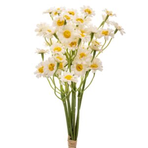 ΛΕΥΚΟ ΜΠΟΥΚΕΤΟ ΜΑΡΓΑΡΙΤΕΣ 27ΕΚ Χ5