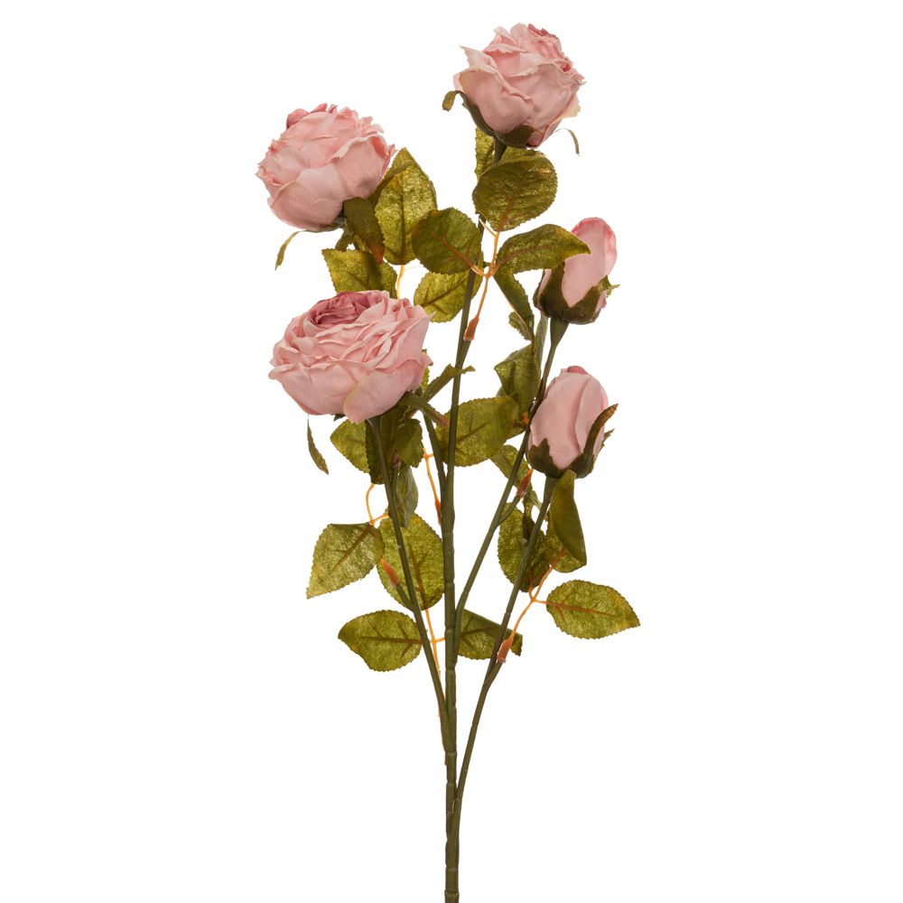 90481 ΑΝΟΙΧΤΟ ΡΟΖ ΚΛΑΔΙ ΤΡΙΑΝΤΑΦΥΛΛΟ 70ΕΚ Χ5