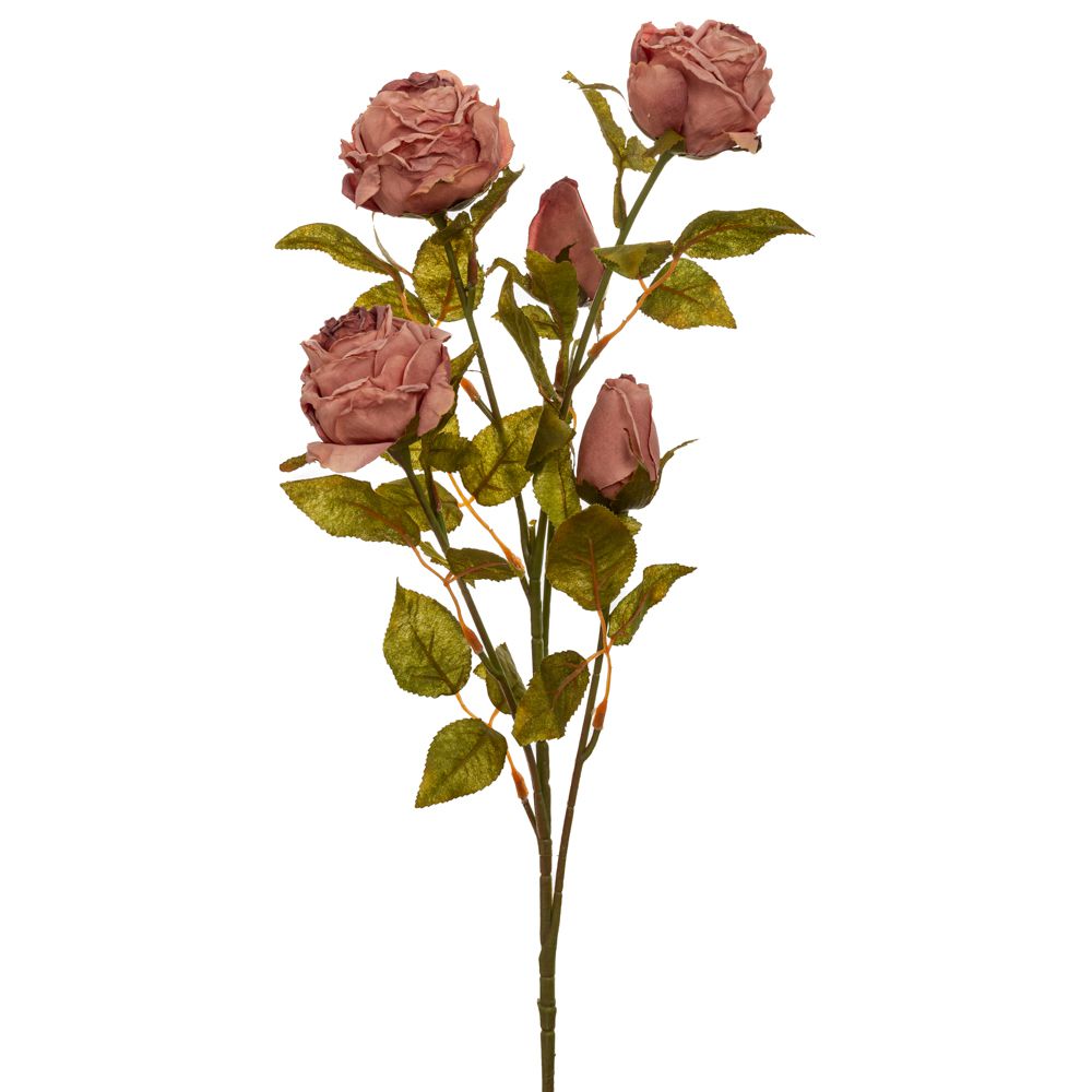 90482 ΣΑΠΙΟ ΜΗΛΟ ΚΛΑΔΙ ΤΡΙΑΝΤΑΦΥΛΛΟ 70ΕΚ Χ5