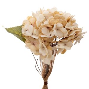 ΚΡΕΜ ΚΛΑΔΙ ΟΡΤΑΝΣΙΑ 33ΕΚ