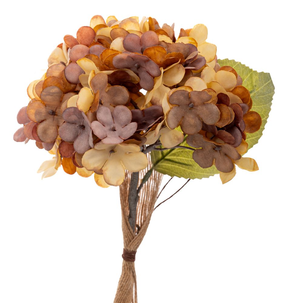 90487 ΣΟΜΩΝ ΚΛΑΔΙ ΟΡΤΑΝΣΙΑ 33ΕΚ