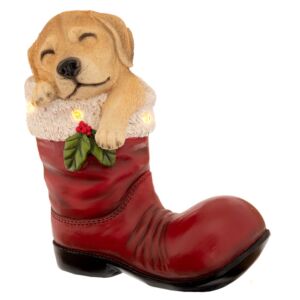 ΚΑΦΕ ΠΟΛΥΡΕΖΙΝ ΜΠΟΤΑ ΜΕ ΣΚΥΛΑΚΙ ΠΟΥ ΚΟΙΜΑΤΑΙ  ΚΑΙ LED ΦΩΣ 22Χ13Χ24ΕΚ