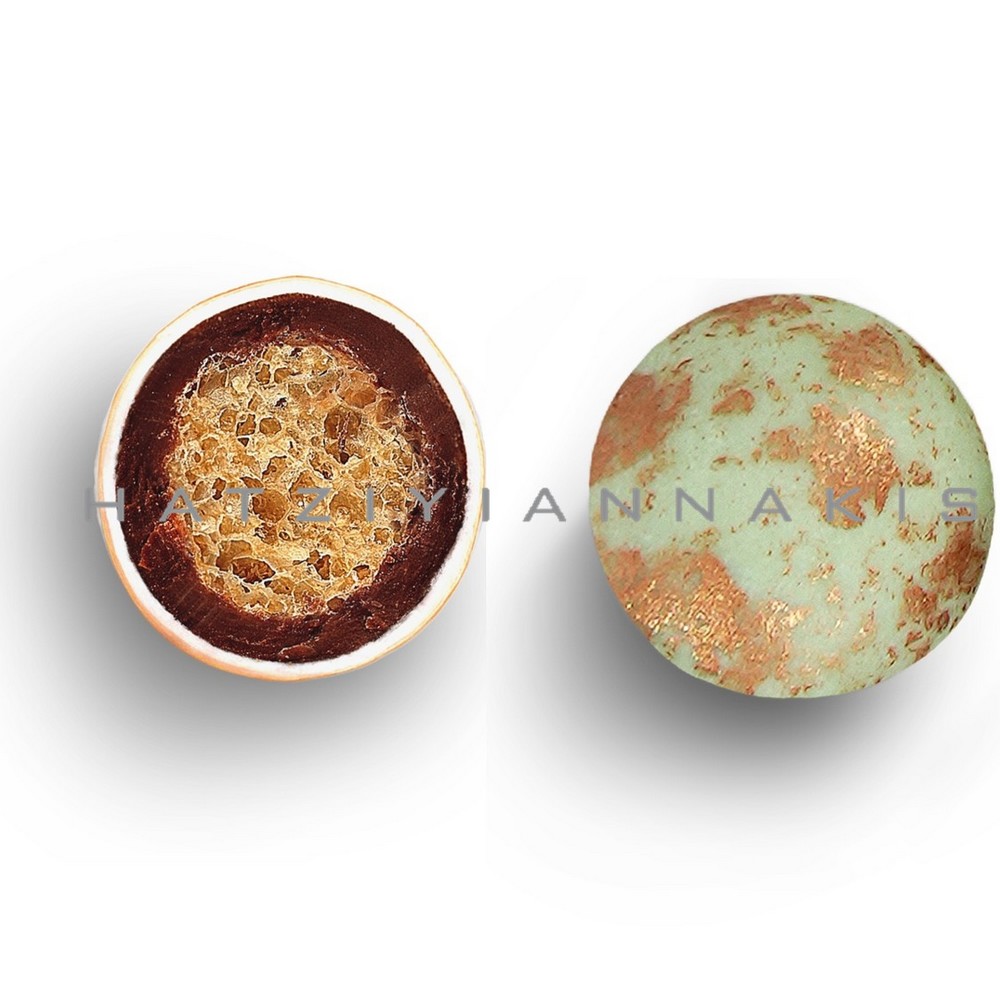 5202516319293-1000x1000