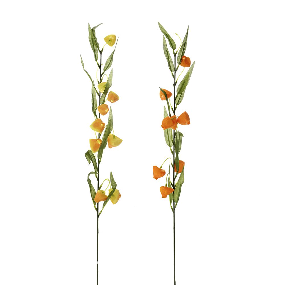 78396 ΚΛΑΔΙ ΣΑΝΤΕΡΣΟΝΙΑ 70EK ΣΕ 2 ΧΡΩΜΑΤΑ