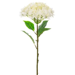 ΜΕΓΑΛΗ ΚΡΕΜ ΟΡΤΑΝΣΙΑ 110ΕΚ Φ30ΕΚ ΚΛΑΔΙ