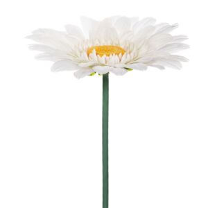 ΓΙΓΑΣ ΛΕΥΚΗ ΖΕΡΜΠΕΡΑ 125ΕΚ Φ50ΕΚ ΚΛΑΔΙ