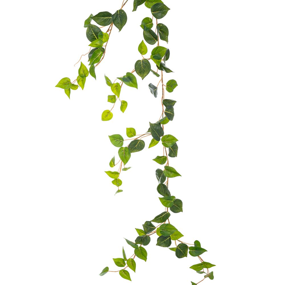 86054 ΓΙΡΛΑΝΤΑ ΠΟΘΟΣ COATED 2ΜΕΤΡΑ ΜΕ ΠΑΡΑΚΛΑΔΙΑ