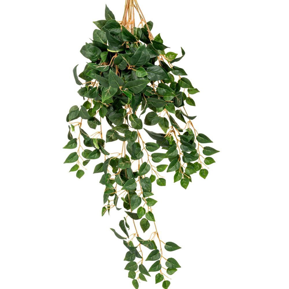 86068 ΠΟΘΟΣ ΠΡΑΣΙΝΟΣ ΚΡΕΜΑΣΤΗ ΠΡΑΣΙΝΑΔΑ 70ΕΚ ΜΕ ΜΙΚΡΑ ΦΥΛΛΑ