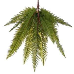 ΡΙΖΑ ΦΤΕΡΗ 80ΕΚ ΠΡΑΣΙΝΗ