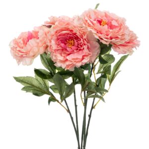 ΡΟΖ ΜΠΟΥΚΕΤΟ ΧΡΥΣΑΝΘΕΜΟ 55ΕΚ Χ5