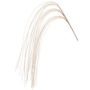 ΣΑΜΠΑΝΙ ΜΕΤΑΛΛΙΖΕ ΚΡΕΜΑΣΤΟ ΚΛΑΔΙ 120ΕΚ