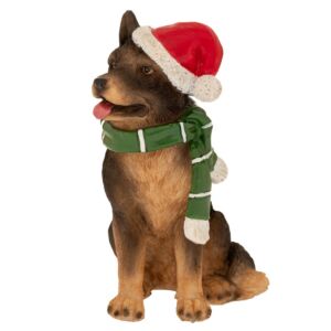 ΚΑΦΕ ΚΑΘΙΣΤΟΣ ΣΚΥΛΟΣ ΜΕ ΚΟΚΚΙΝΟ ΣΚΟΥΦΟ 9