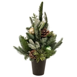 ΠΡΑΣΙΝΟ ΔΕΝΤΡΟ ΜΕ ΚΟΥΚΟΥΝΑΡΙΑ ΚΑΙ ΜΠΑΛΕΣ ΣΕ ΠΛΑΣΤΙΚΗ ΓΛΑΣΤΡΑ 43ΕΚ