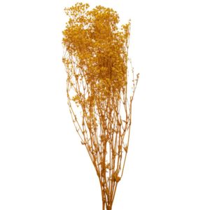 ΚΙΤΡΙΝΟ ΜΠΟΥΚΕΤΟ ΓΥΨΟΦΙΛΛΗ 120gr