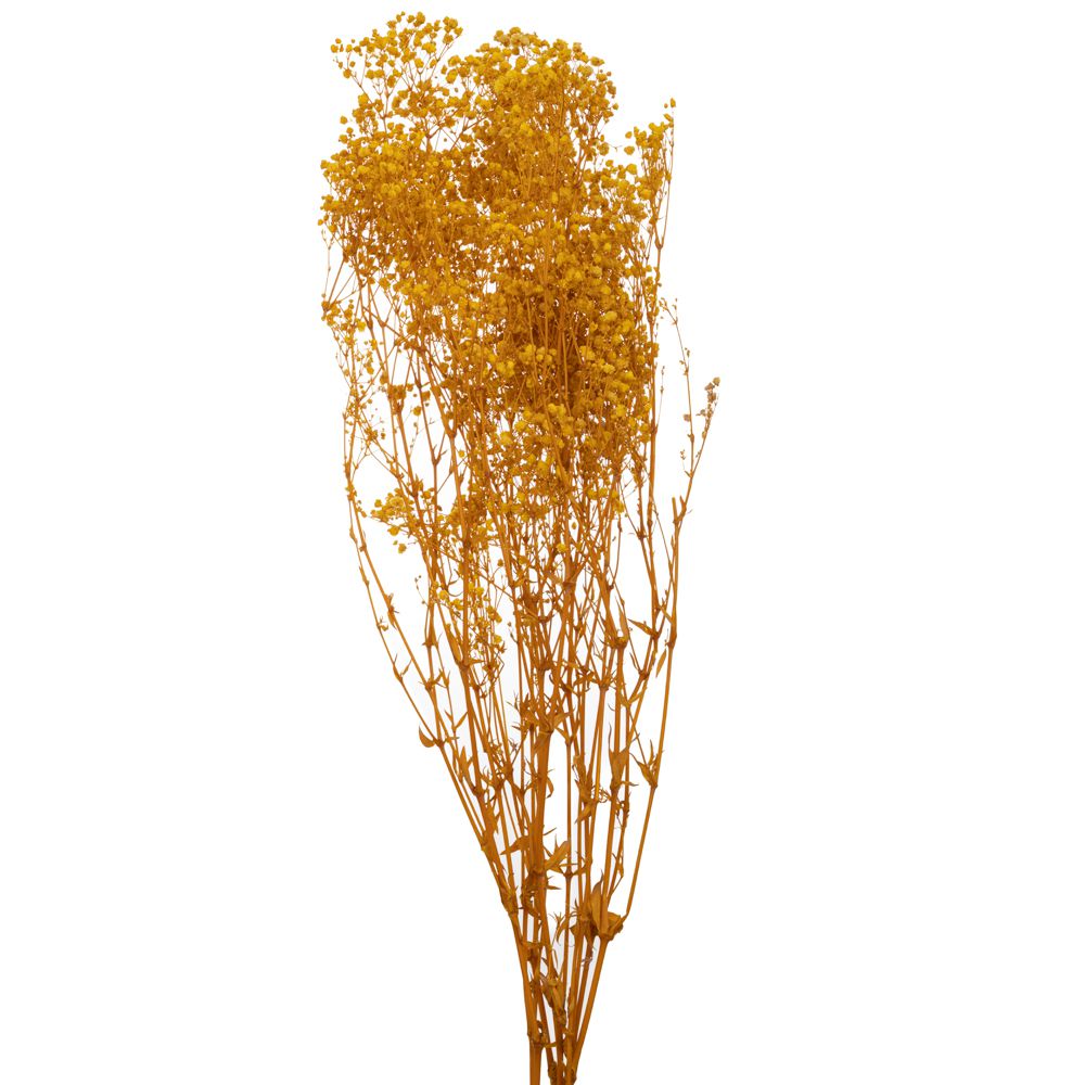 91988 ΚΙΤΡΙΝΟ ΜΠΟΥΚΕΤΟ ΓΥΨΟΦΙΛΛΗ 120gr