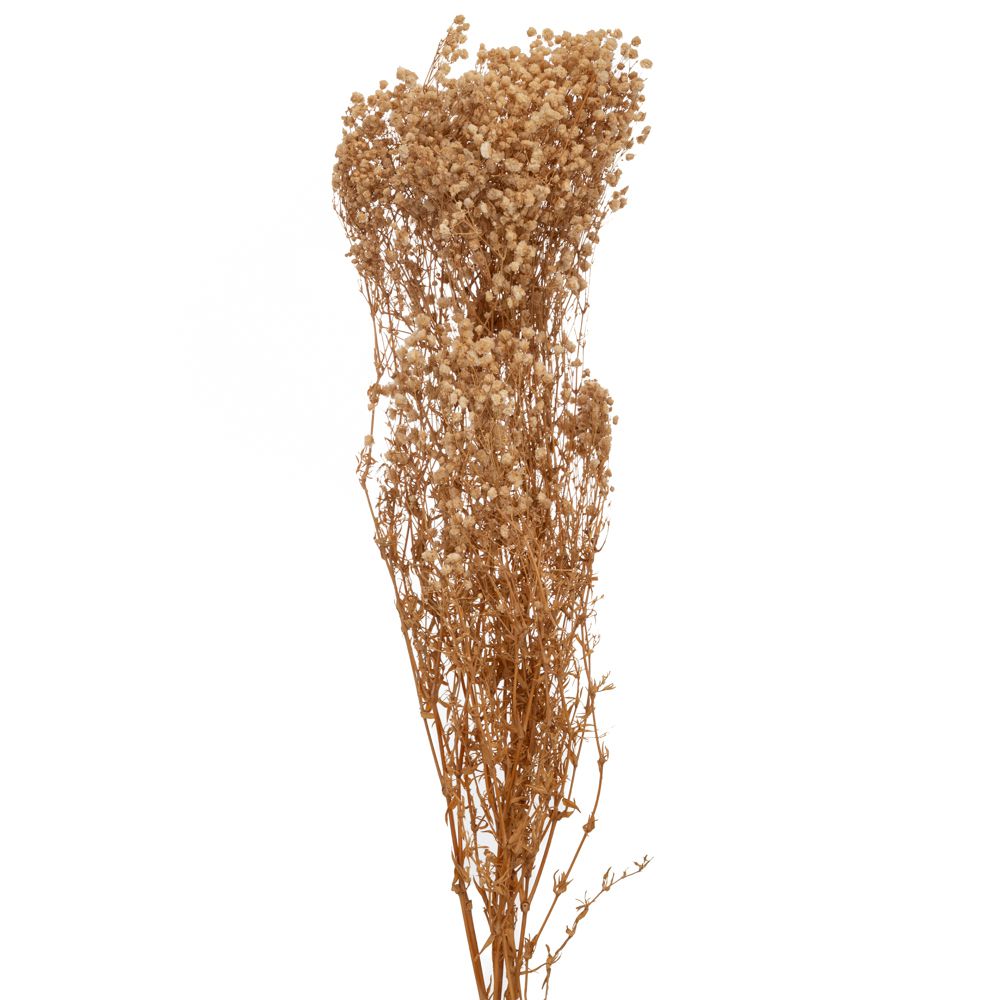 91993 ΚΡΕΜ ΜΠΟΥΚΕΤΟ ΓΥΨΟΦΙΛΛΗ 120gr