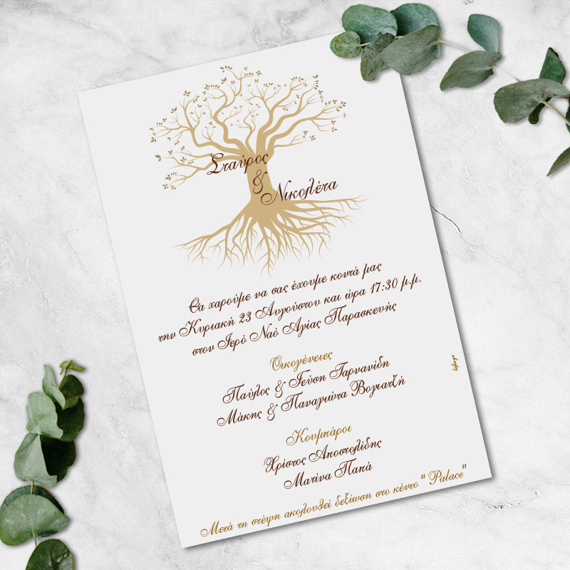 papuraki-dentro-zois