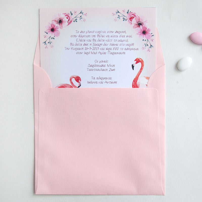 φλαμινγο1-α