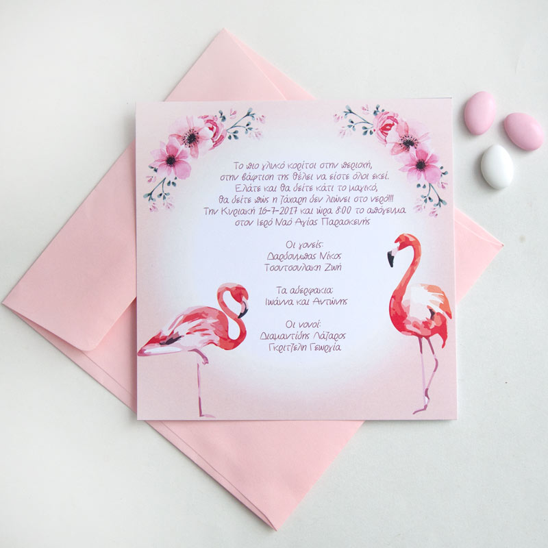 φλαμινγο1-β