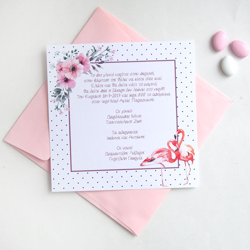 φλαμινγο2-β